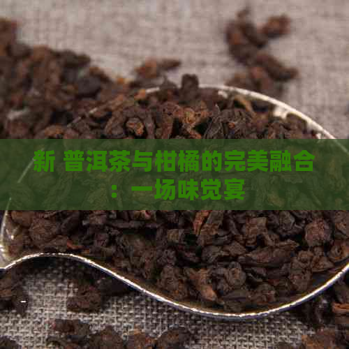 新 普洱茶与柑橘的完美融合：一场味觉宴