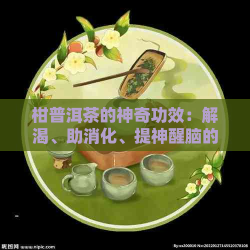 柑普洱茶的神奇功效：解渴、助消化、提神醒脑的综合体验