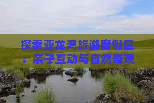 探索亚龙湾旅游度假区：亲子互动与自然奇观融合的乐趣所在