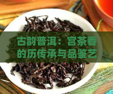 古韵普洱：宫茶香的历传承与品鉴艺术