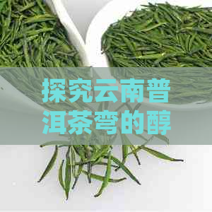 探究云南普洱茶弯的醇厚特性与独特口感，让你深入了解其魅力所在