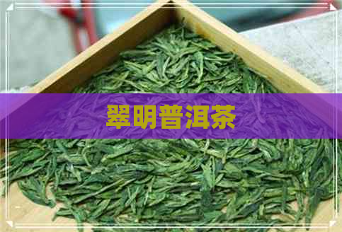 翠明普洱茶