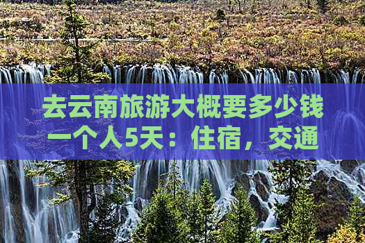 去云南旅游大概要多少钱一个人5天：住宿，交通及景点门票费用全解析