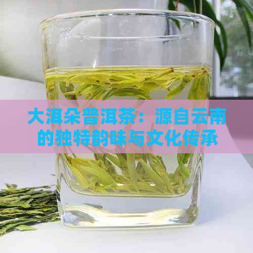 大洱朵普洱茶：源自云南的独特韵味与文化传承