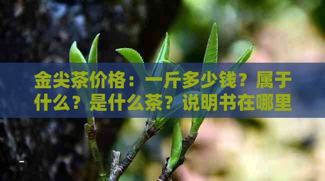 金尖茶价格：一斤多少钱？属于什么？是什么茶？说明书在哪里？