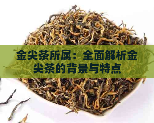 金尖茶所属：全面解析金尖茶的背景与特点