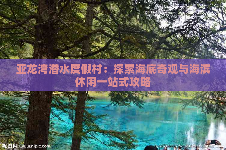 亚龙湾潜水度假村：探索海底奇观与海滨休闲一站式攻略