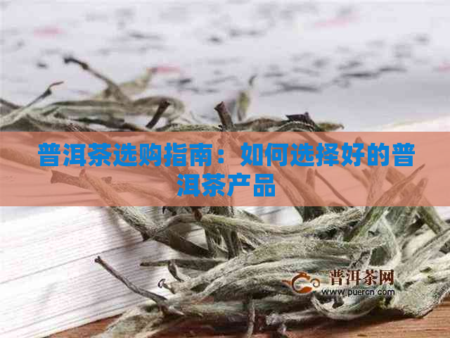 普洱茶选购指南：如何选择好的普洱茶产品