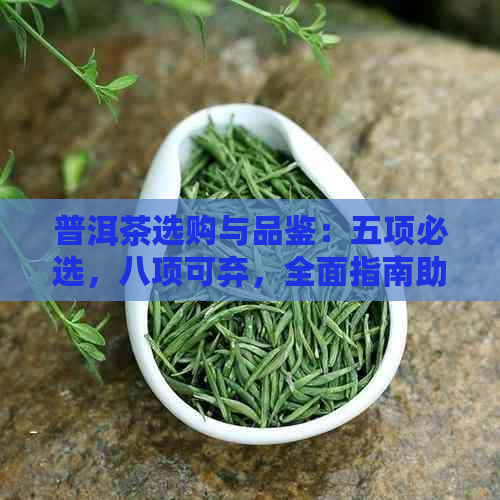 普洱茶选购与品鉴：五项必选，八项可弃，全面指南助你成为普洱茶专家