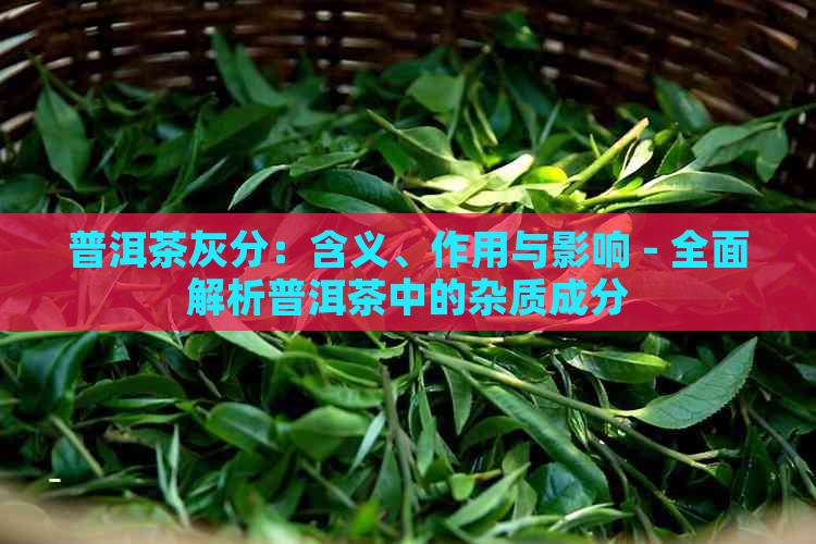 普洱茶灰分：含义、作用与影响 - 全面解析普洱茶中的杂质成分