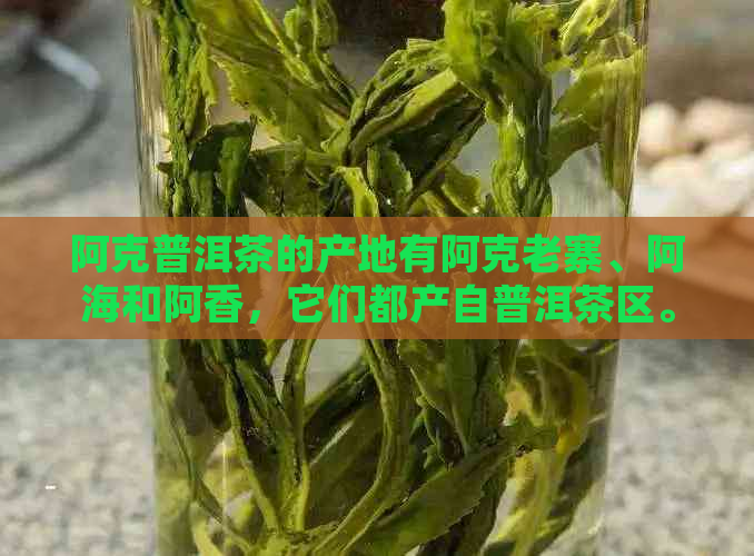 阿克普洱茶的产地有阿克老寨、阿海和阿香，它们都产自普洱茶区。