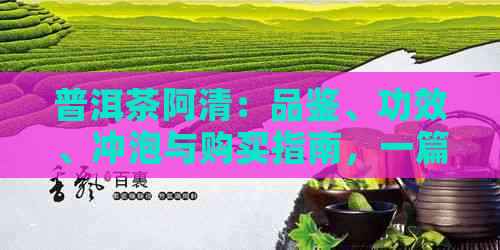 普洱茶阿清：品鉴、功效、冲泡与购买指南，一篇全面解决您的疑问