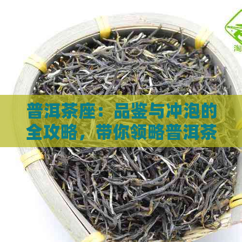 普洱茶座：品鉴与冲泡的全攻略，带你领略普洱茶的魅力与文化