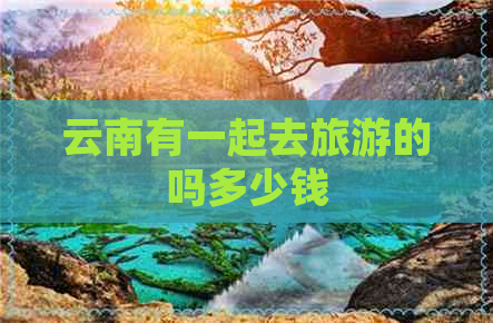 云南有一起去旅游的吗多少钱