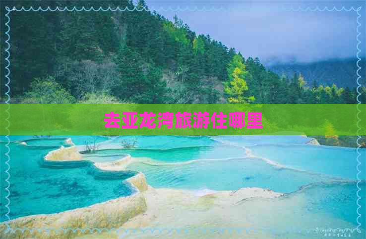 去亚龙湾旅游住哪里