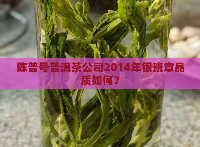 陈普号普洱茶公司2014年银班章品质如何？