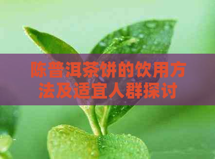 陈普洱茶饼的饮用方法及适宜人群探讨