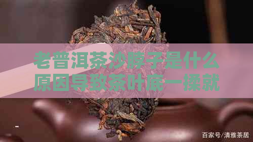 老普洱茶沙脖子是什么原因导致茶叶底一揉就烂？