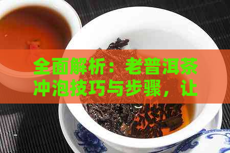 全面解析：老普洱茶冲泡技巧与步骤，让你轻松掌握泡茶方法