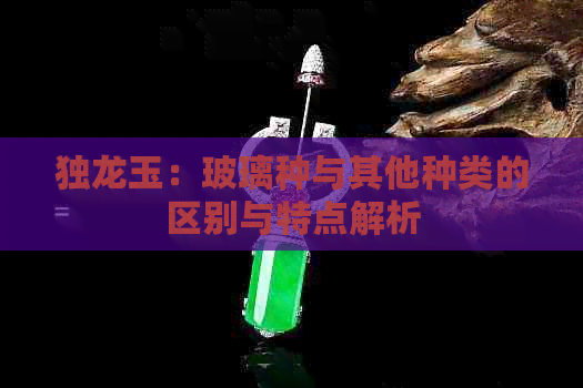 独龙玉：玻璃种与其他种类的区别与特点解析