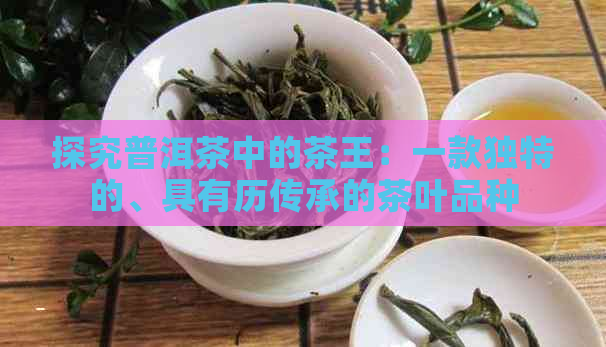 探究普洱茶中的茶王：一款独特的、具有历传承的茶叶品种