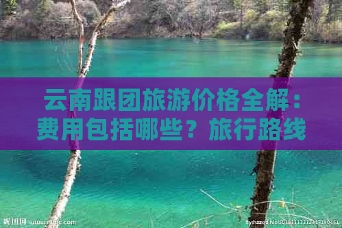 云南跟团旅游价格全解：费用包括哪些？旅行路线推荐和预算分析