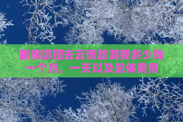 跟旅游团去云南旅游要多少钱一个月，一天以及总体费用