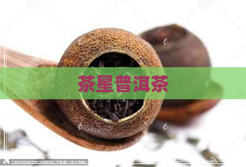 茶星普洱茶