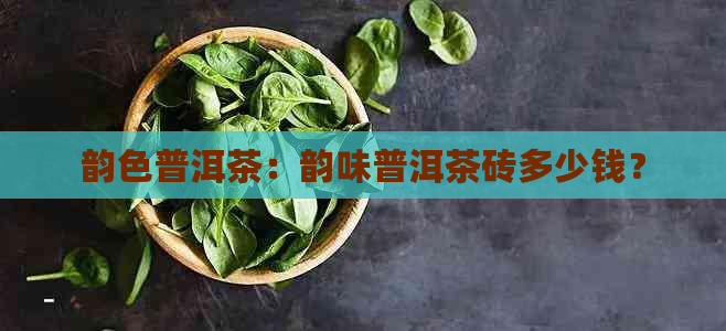 韵色普洱茶：韵味普洱茶砖多少钱？