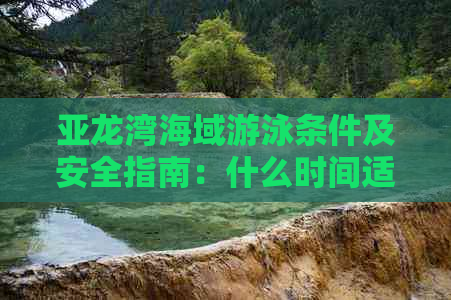 亚龙湾海域游泳条件及安全指南：什么时间适宜下海、注意事项与最新水质信息