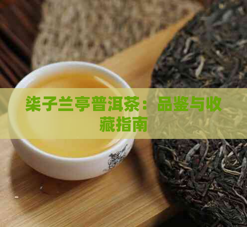 柒子兰亭普洱茶：品鉴与收藏指南