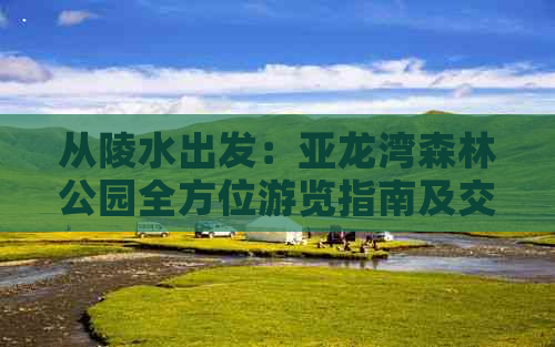 从陵水出发：亚龙湾森林公园全方位游览指南及交通攻略