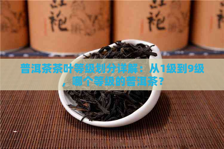 普洱茶茶叶等级划分详解：从1级到9级，哪个等级的普洱茶？