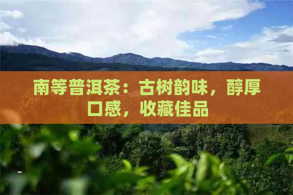 南等普洱茶：古树韵味，醇厚口感，收藏佳品