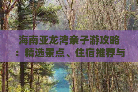 海南亚龙湾亲子游攻略：精选景点、住宿推荐与亲子活动指南