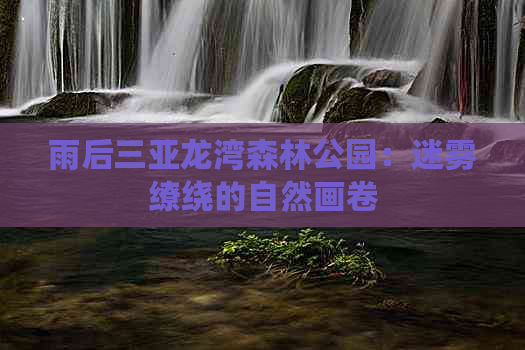 雨后三亚龙湾森林公园：迷雾缭绕的自然画卷