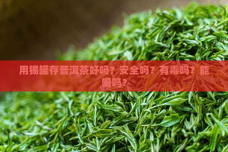 用锡罐存普洱茶好吗？安全吗？有吗？能喝吗？