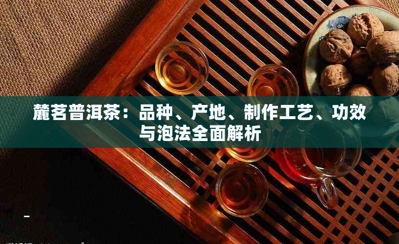 麓茗普洱茶：品种、产地、制作工艺、功效与泡法全面解析