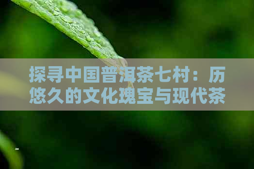 探寻中国普洱茶七村：历悠久的文化瑰宝与现代茶业发展