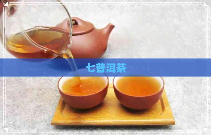 七普洱茶