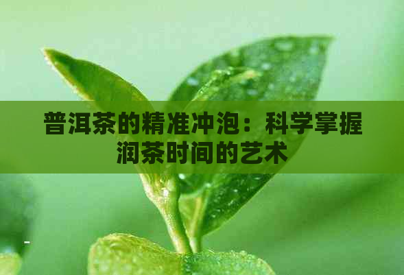 普洱茶的精准冲泡：科学掌握润茶时间的艺术