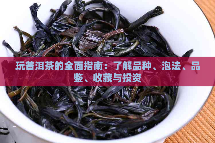 玩普洱茶的全面指南：了解品种、泡法、品鉴、收藏与投资