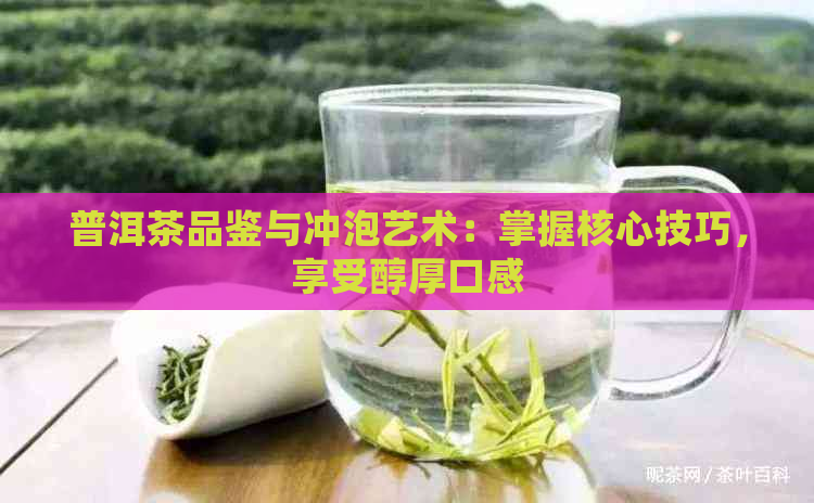 普洱茶品鉴与冲泡艺术：掌握核心技巧，享受醇厚口感