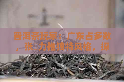 普洱茶玩家：广东占多数，张玥力推独特风格，探讨玩法与品味。