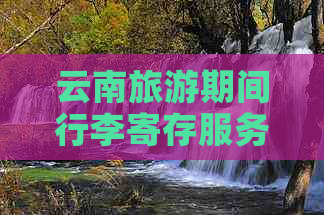 云南旅游期间行李寄存服务及其费用分析，让你的出行更轻松