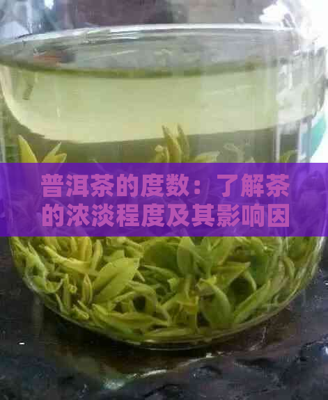 普洱茶的度数：了解茶的浓淡程度及其影响因素