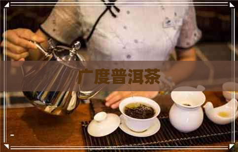 广度普洱茶