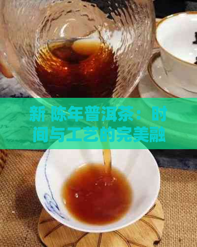 新 陈年普洱茶：时间与工艺的完美融合