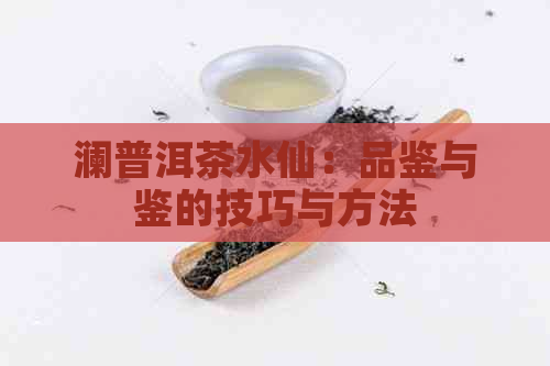 澜普洱茶水仙：品鉴与鉴的技巧与方法