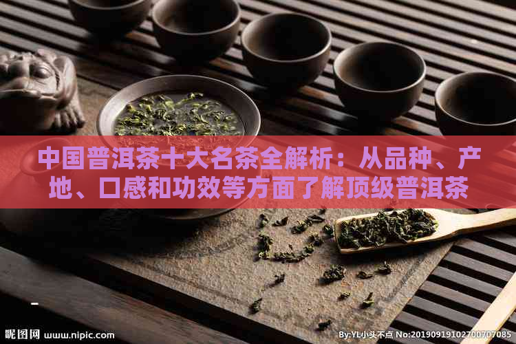 中国普洱茶十大名茶全解析：从品种、产地、口感和功效等方面了解顶级普洱茶